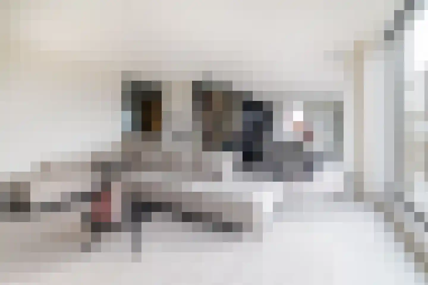 Joke Smitstraat 29 Breda thumbnail 14
