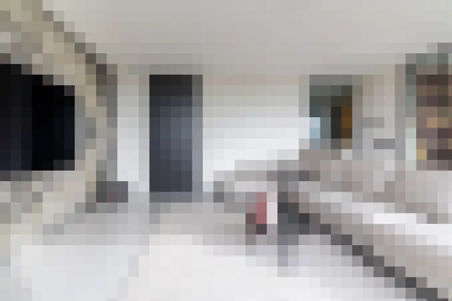 Joke Smitstraat 29 Breda thumbnail 15