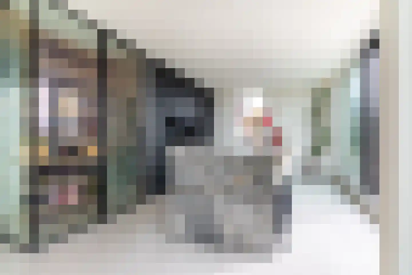 Joke Smitstraat 29 Breda thumbnail 16
