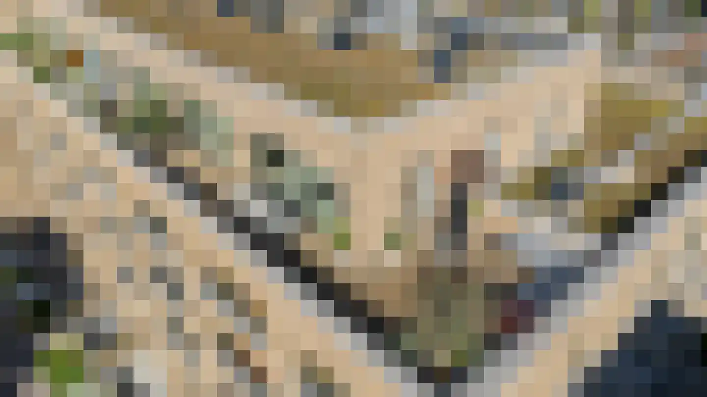 Joke Smitstraat 29 Breda thumbnail 34