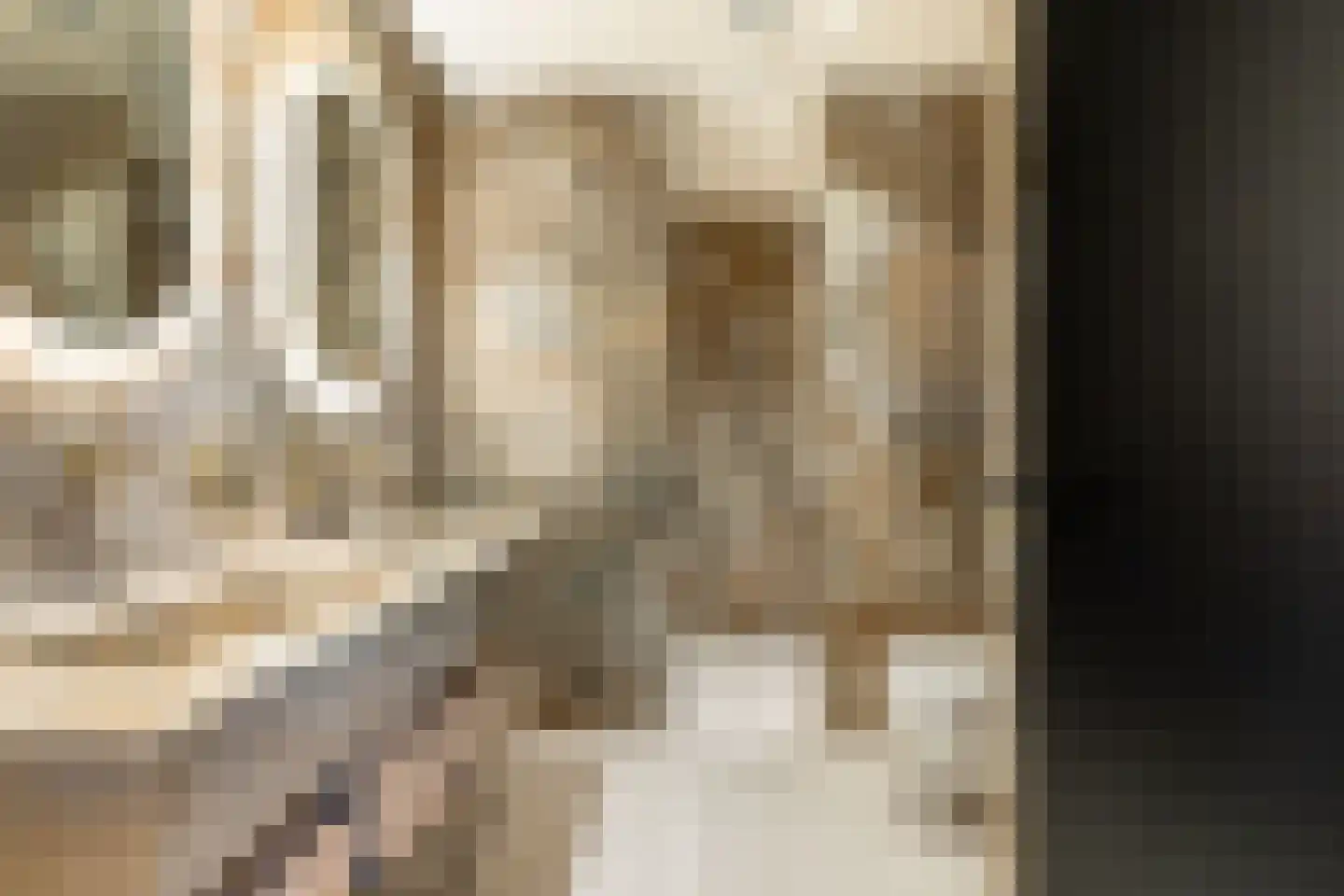 Joke Smitstraat 29 Breda thumbnail 39