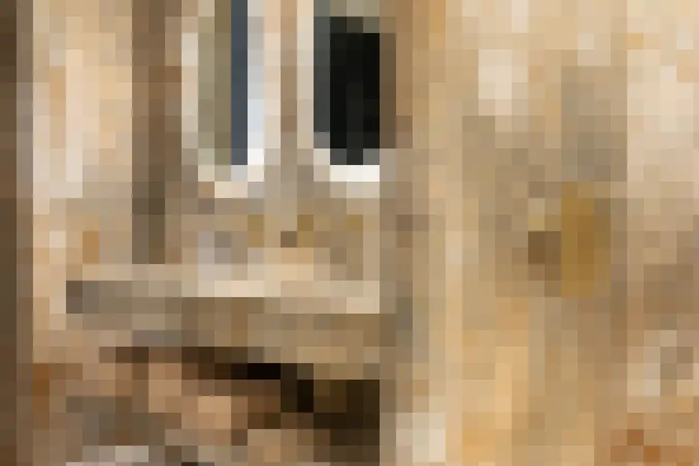 Joke Smitstraat 29 Breda thumbnail 41