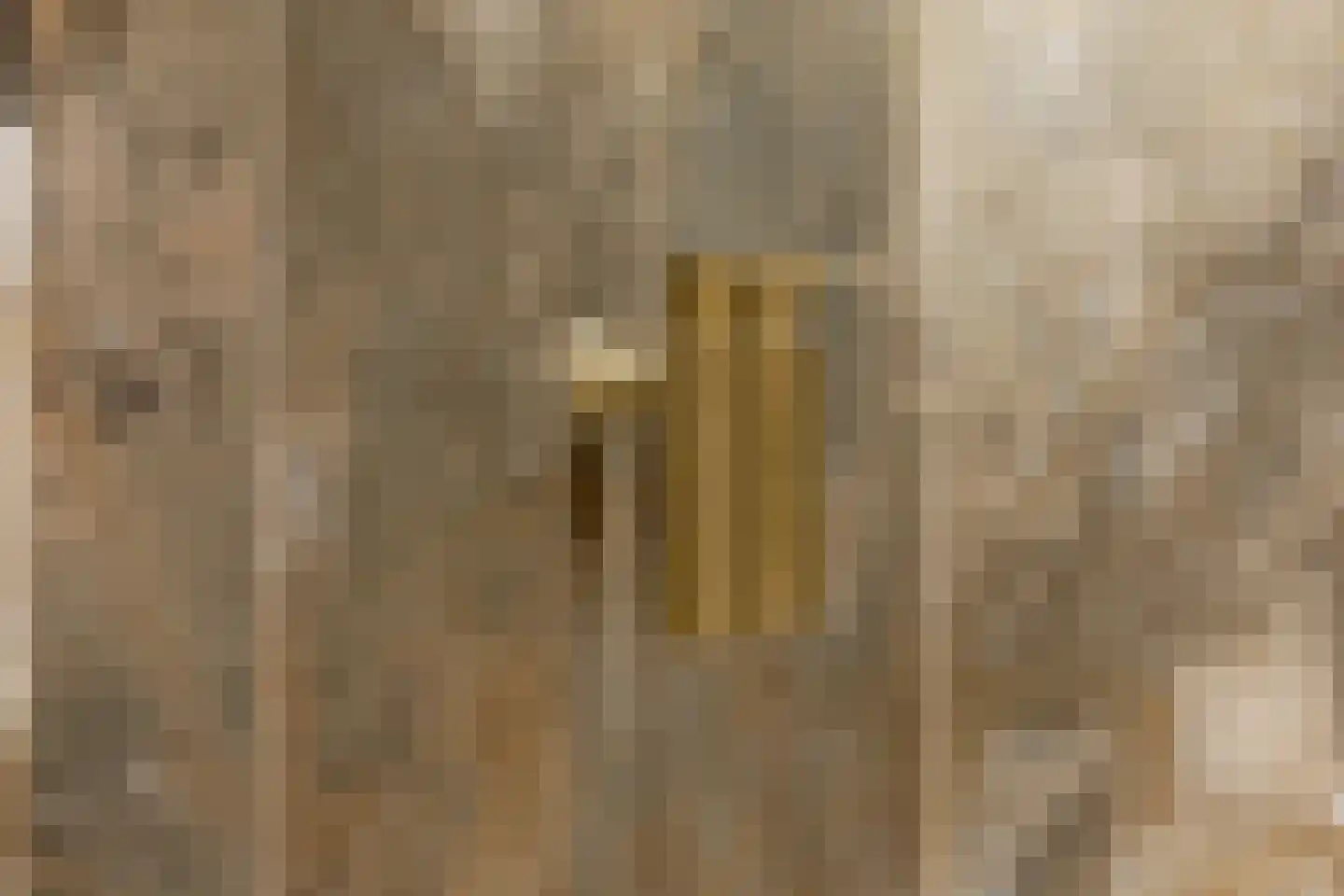 Joke Smitstraat 29 Breda thumbnail 45