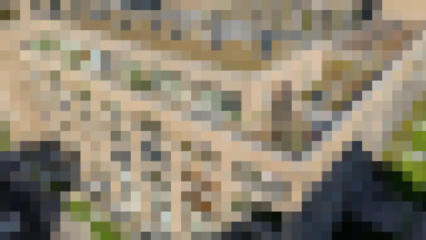 Joke Smitstraat 29 Breda thumbnail 7