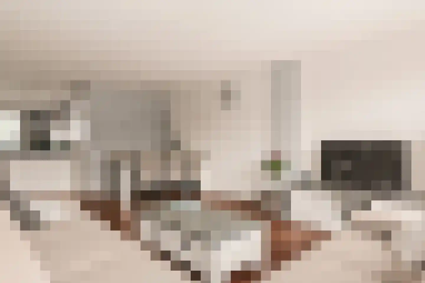 Joke Smitstraat 35 Hoofddorp thumbnail 13