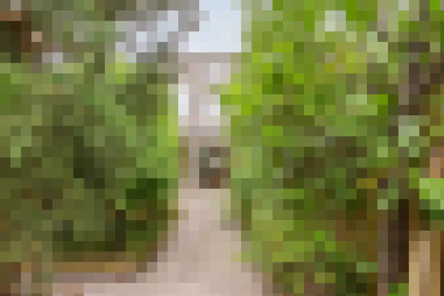 Joke Smitstraat 36 Hoofddorp thumbnail 29