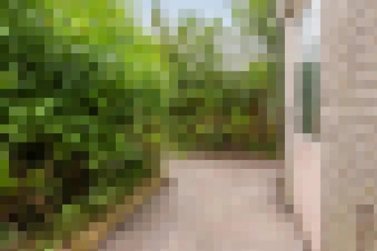 Joke Smitstraat 36 Hoofddorp thumbnail 31