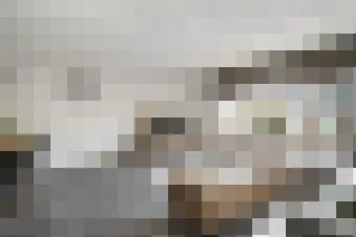 Joke Smitstraat 41 Coevorden thumbnail 10