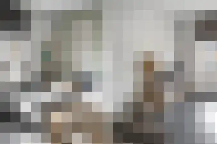 Joke Smitstraat 41 Coevorden thumbnail 12