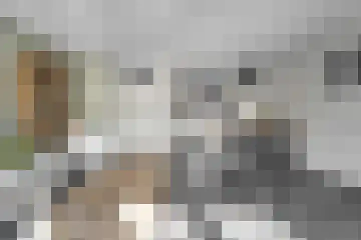 Joke Smitstraat 41 Coevorden thumbnail 13