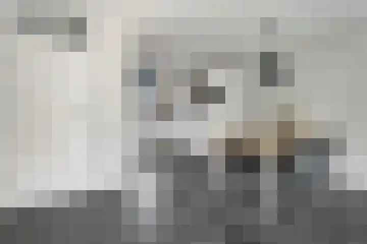 Joke Smitstraat 41 Coevorden thumbnail 14