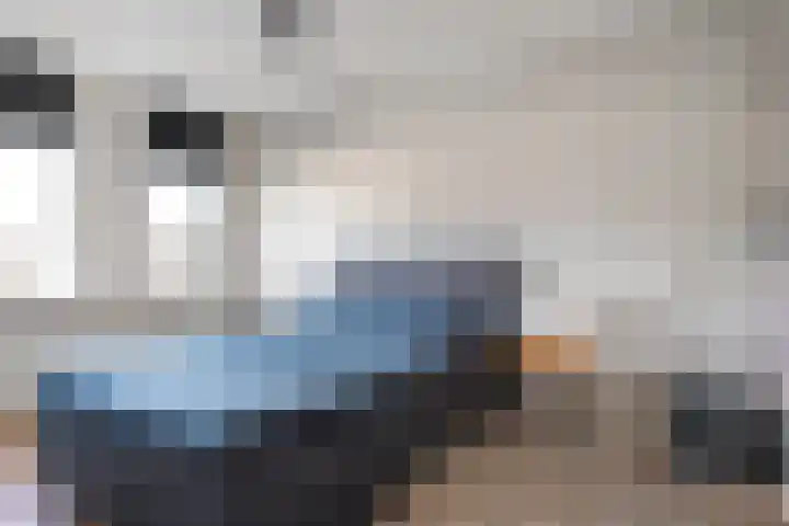 Joke Smitstraat 41 Coevorden thumbnail 24