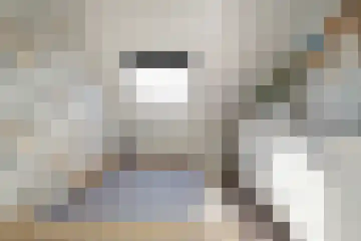 Joke Smitstraat 41 Coevorden thumbnail 25