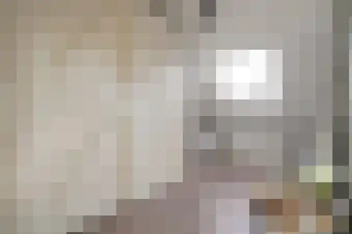 Joke Smitstraat 41 Coevorden thumbnail 27