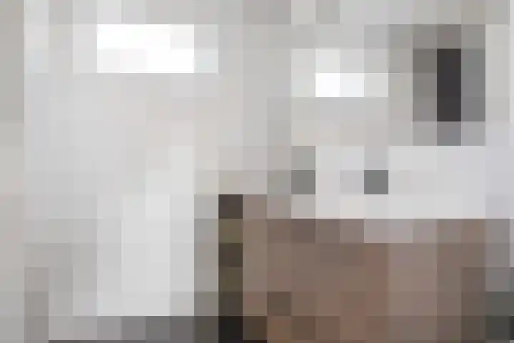 Joke Smitstraat 41 Coevorden thumbnail 29