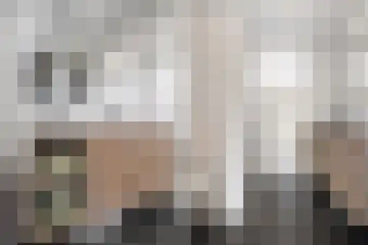 Joke Smitstraat 41 Coevorden thumbnail 31