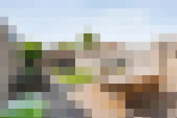 Joke Smitstraat 41 Coevorden thumbnail 34