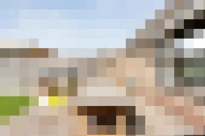 Joke Smitstraat 41 Coevorden thumbnail 35