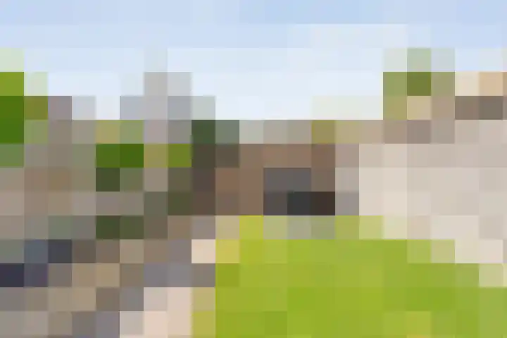 Joke Smitstraat 41 Coevorden thumbnail 38