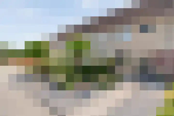 Joke Smitstraat 41 Coevorden thumbnail 49