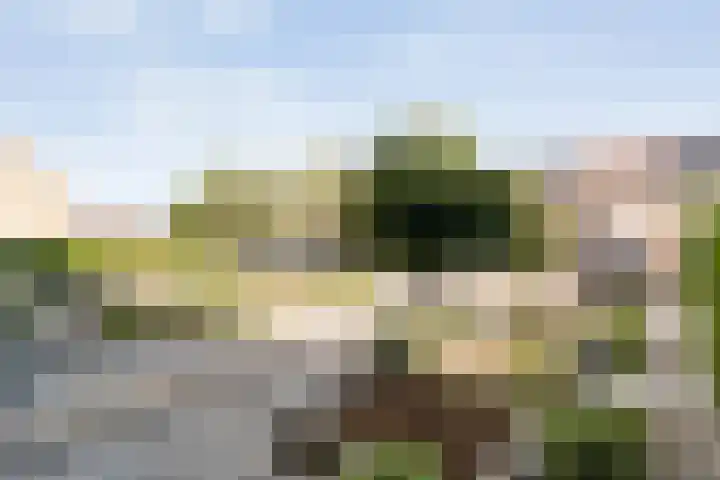 Joke Smitstraat 41 Coevorden thumbnail 5