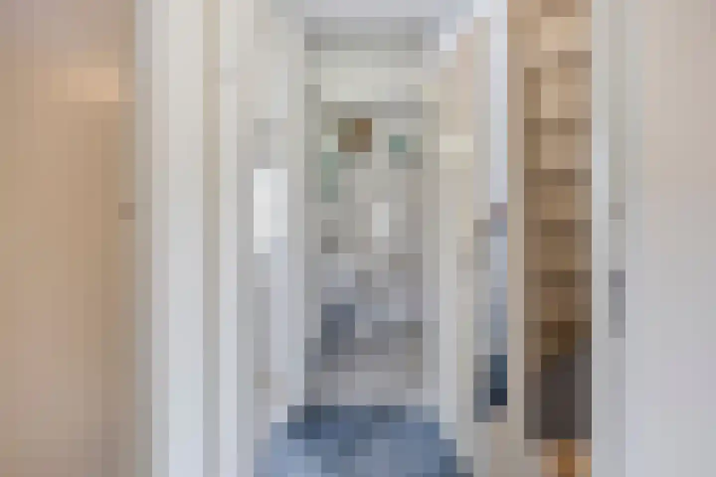 Joke Smitstraat 48 Deventer thumbnail 18