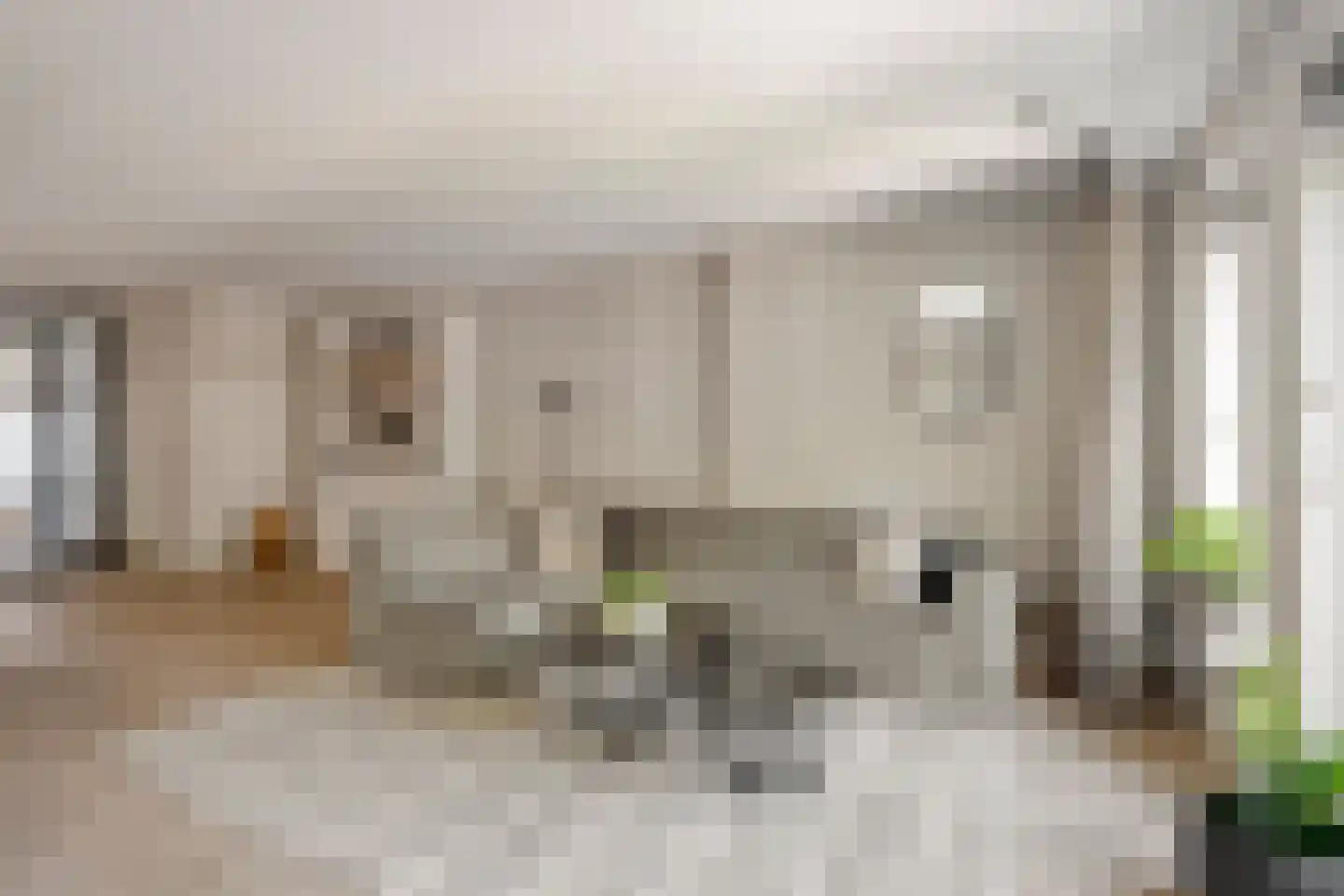 Joke Smitstraat 49 Bergen (NH) thumbnail 14