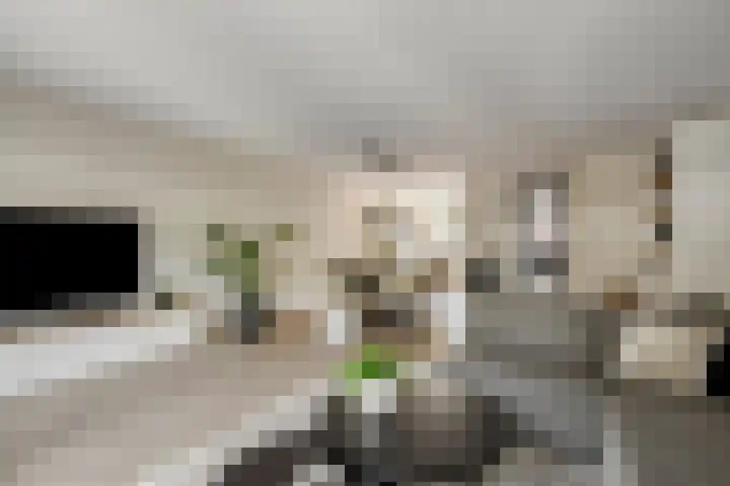 Joke Smitstraat 49 Bergen (NH) thumbnail 16