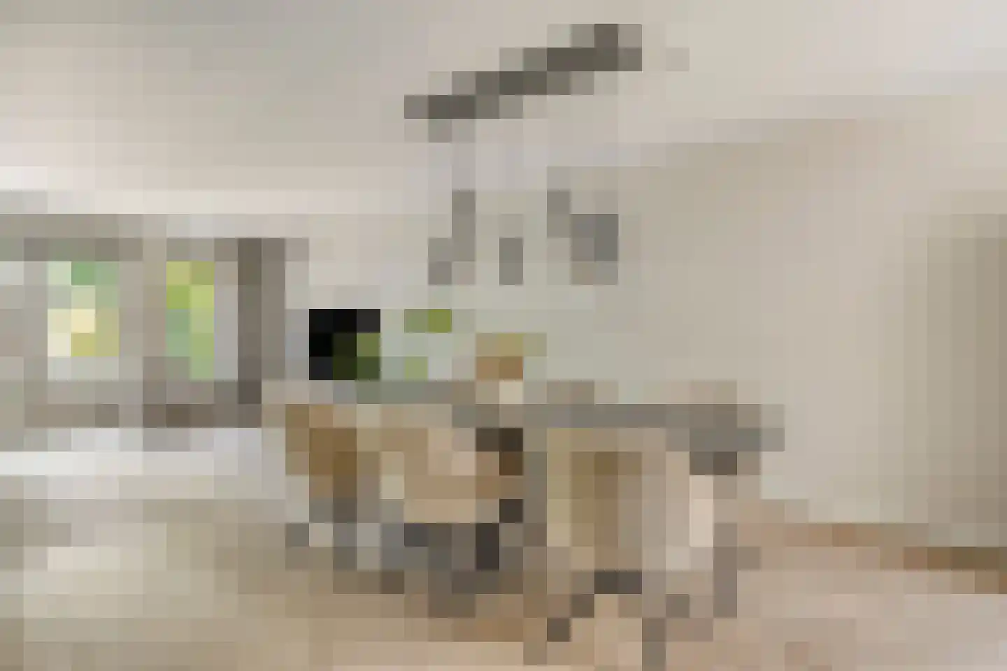 Joke Smitstraat 49 Bergen (NH) thumbnail 20