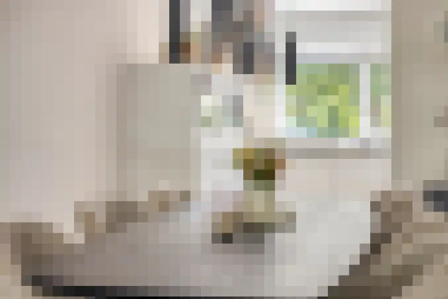 Joke Smitstraat 49 Bergen (NH) thumbnail 22