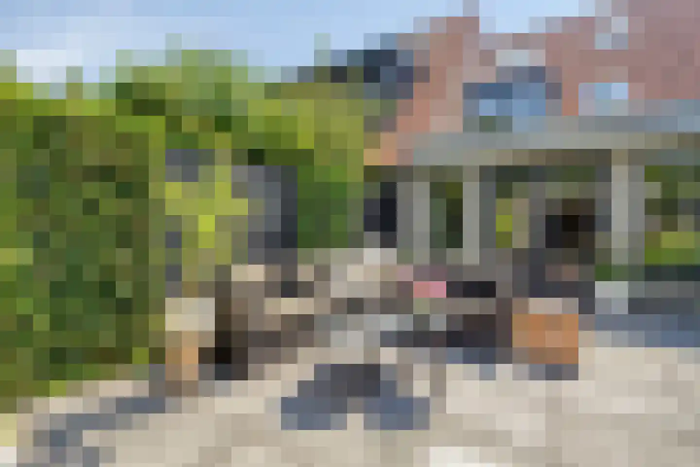 Joke Smitstraat 49 Bergen (NH) thumbnail 27