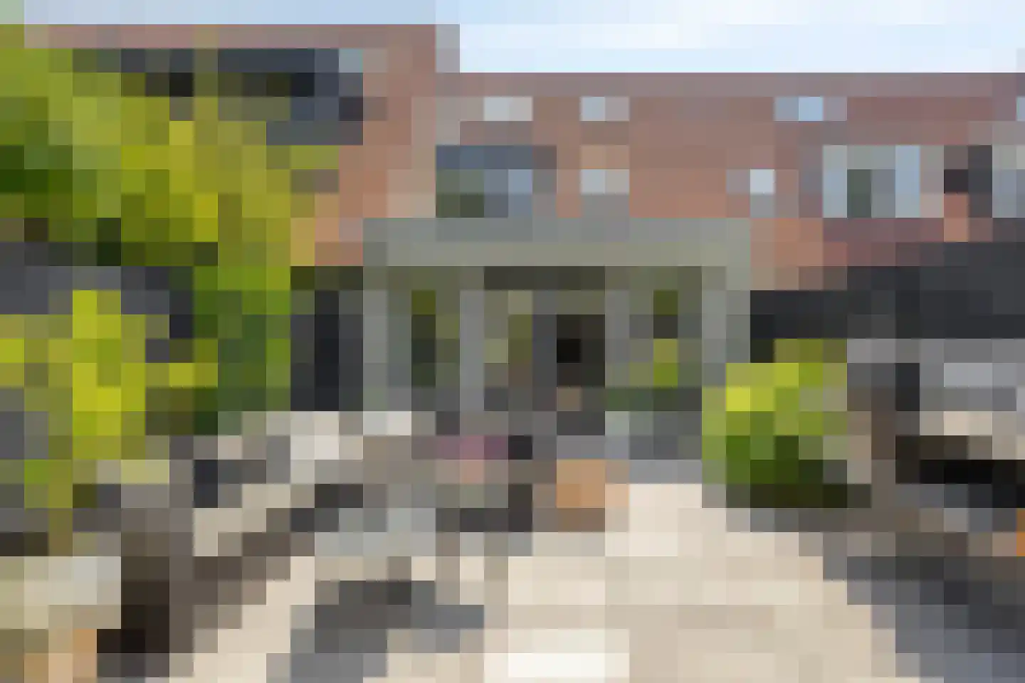 Joke Smitstraat 49 Bergen (NH) thumbnail 29