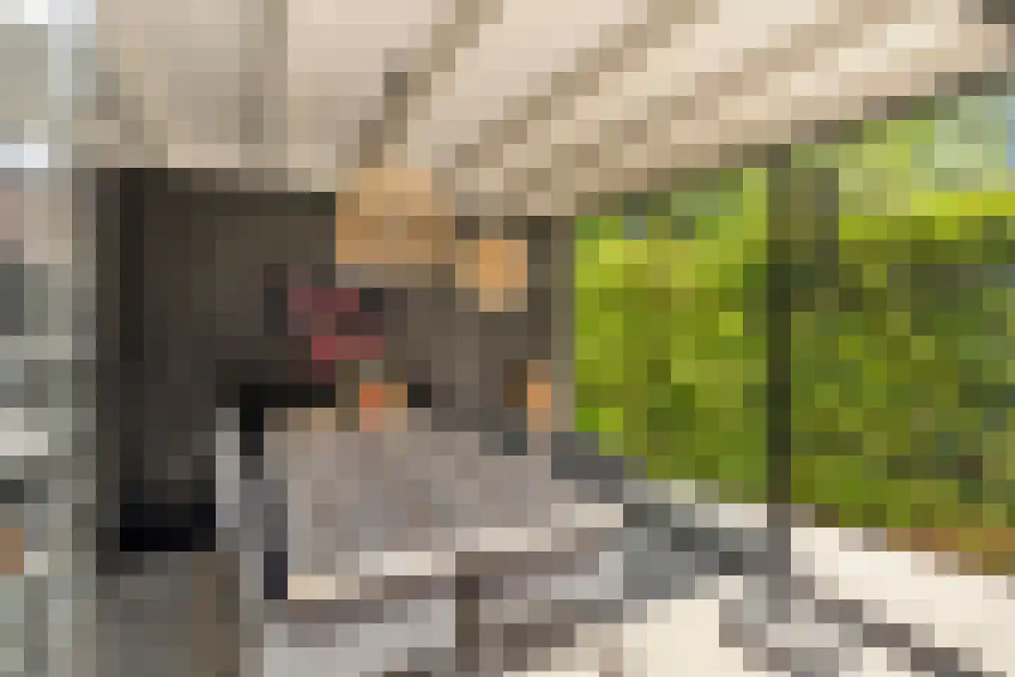 Joke Smitstraat 49 Bergen (NH) thumbnail 30