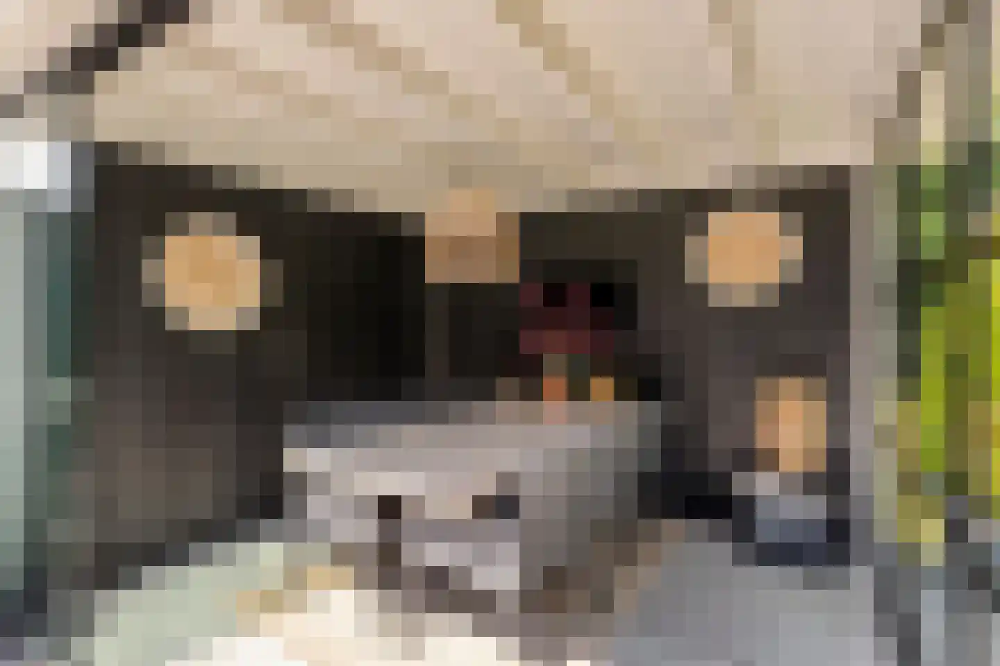 Joke Smitstraat 49 Bergen (NH) thumbnail 31