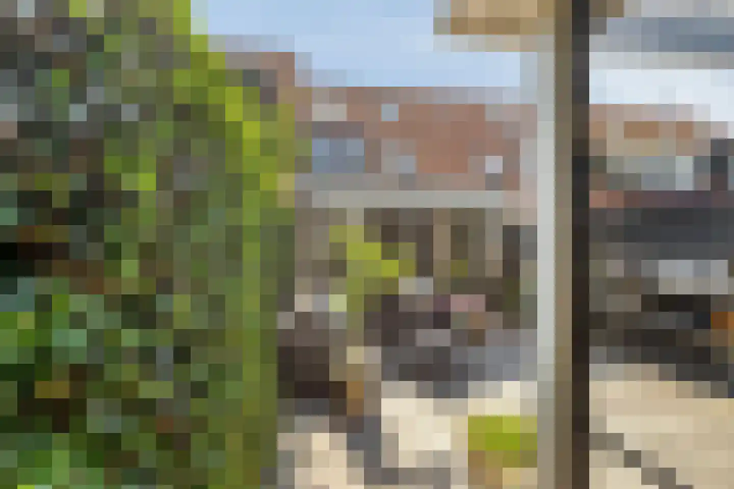 Joke Smitstraat 49 Bergen (NH) thumbnail 35