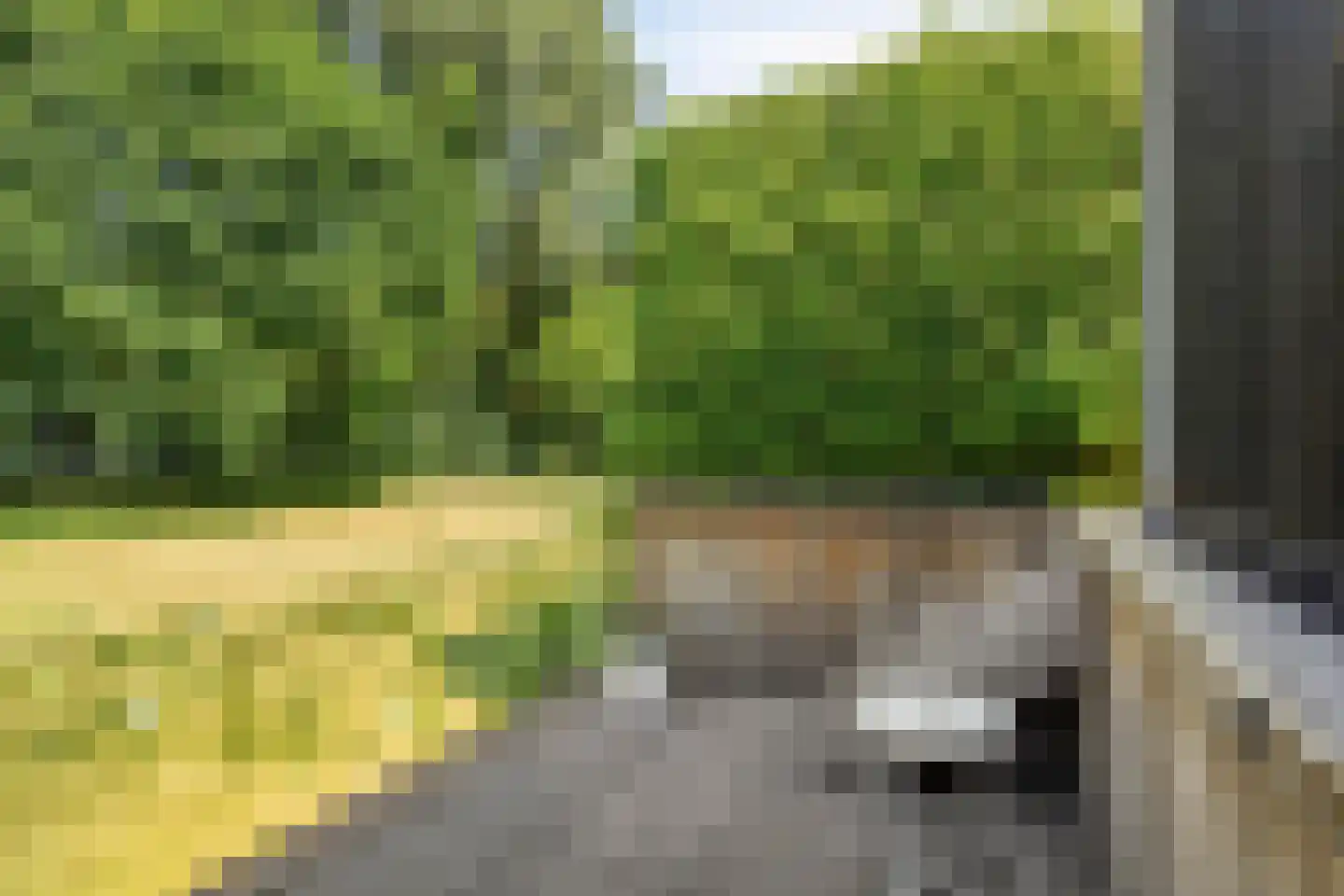 Joke Smitstraat 49 Bergen (NH) thumbnail 36