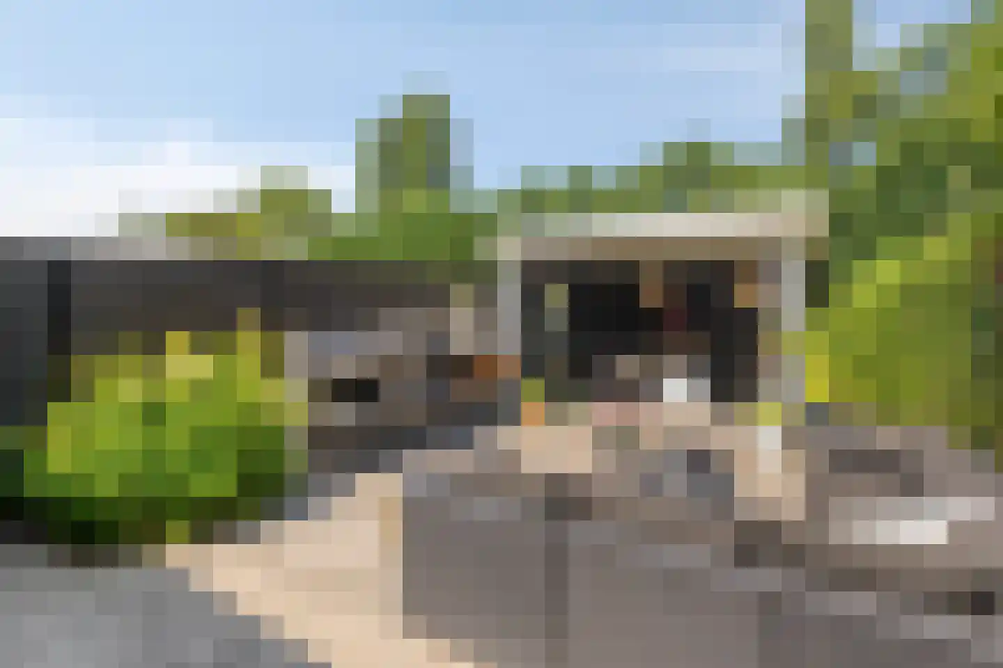 Joke Smitstraat 49 Bergen (NH) thumbnail 4