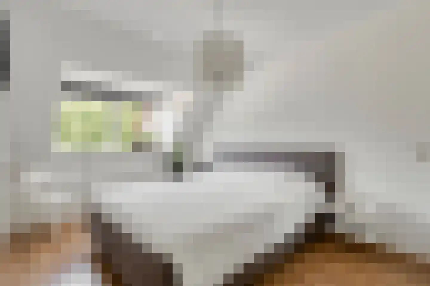 Joke Smitstraat 49 Bergen (NH) thumbnail 40