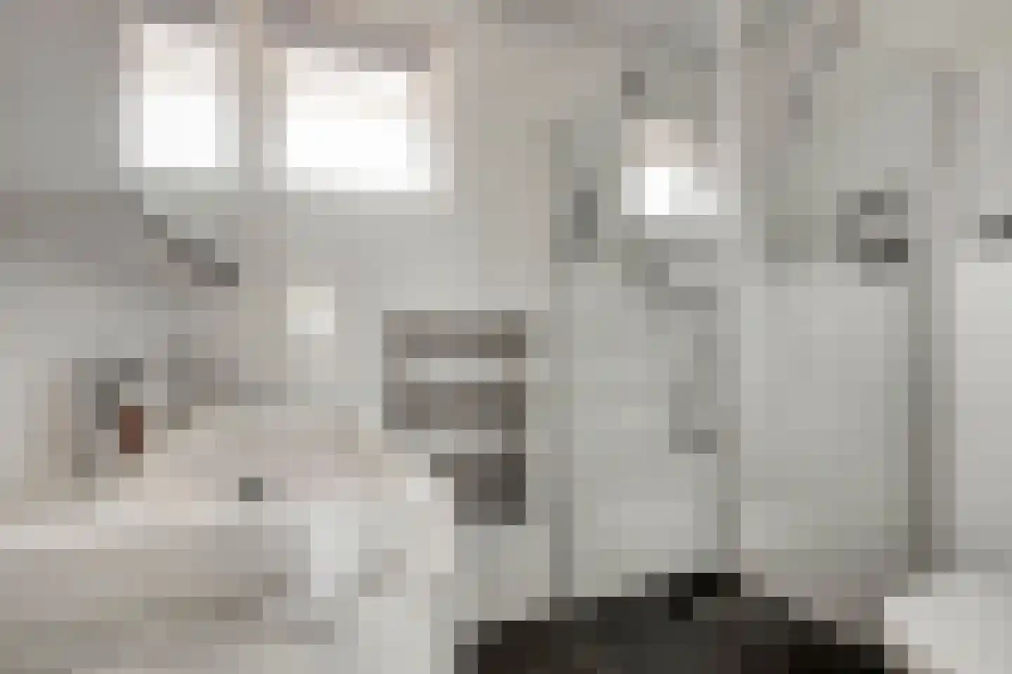 Joke Smitstraat 49 Bergen (NH) thumbnail 41
