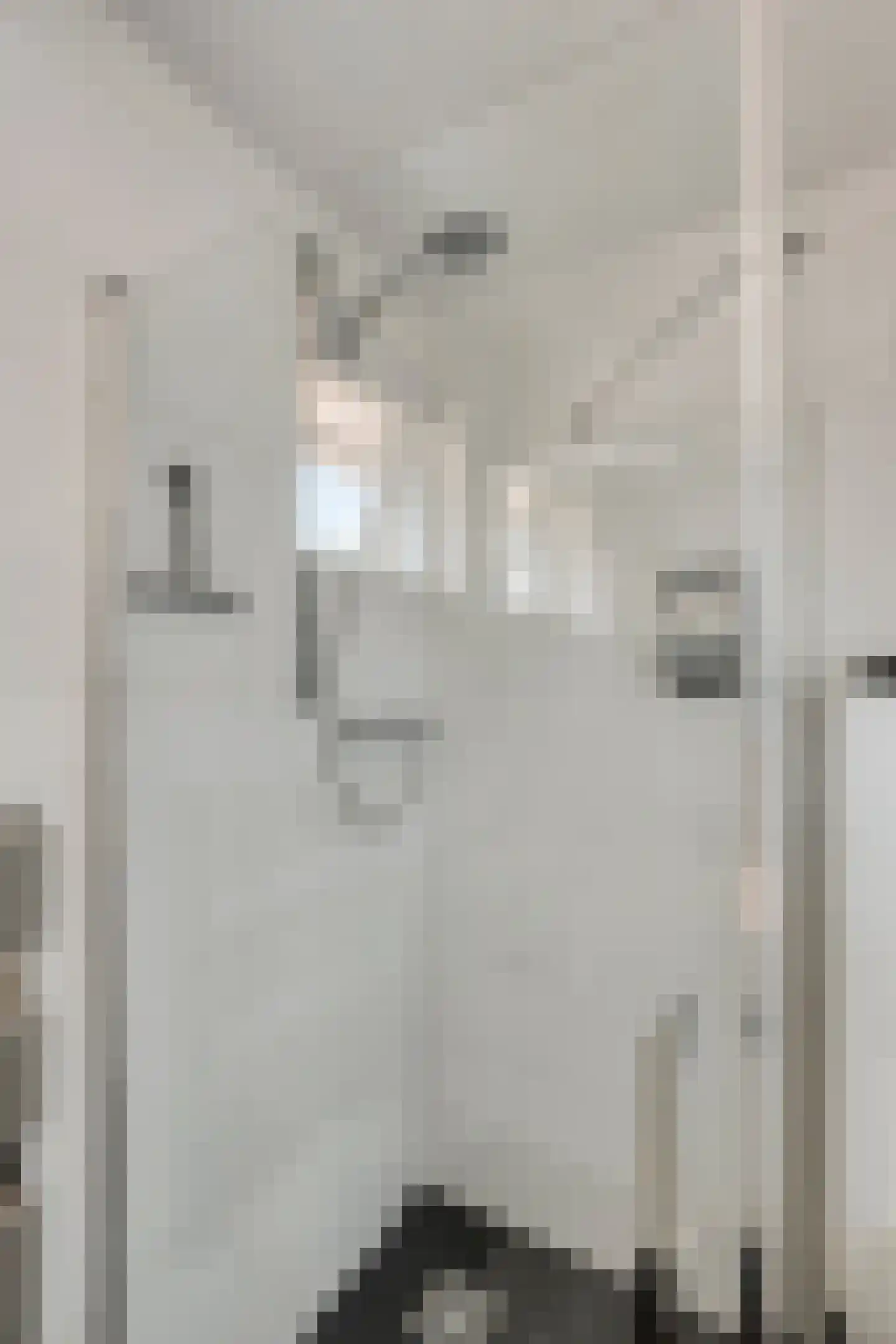 Joke Smitstraat 49 Bergen (NH) thumbnail 43