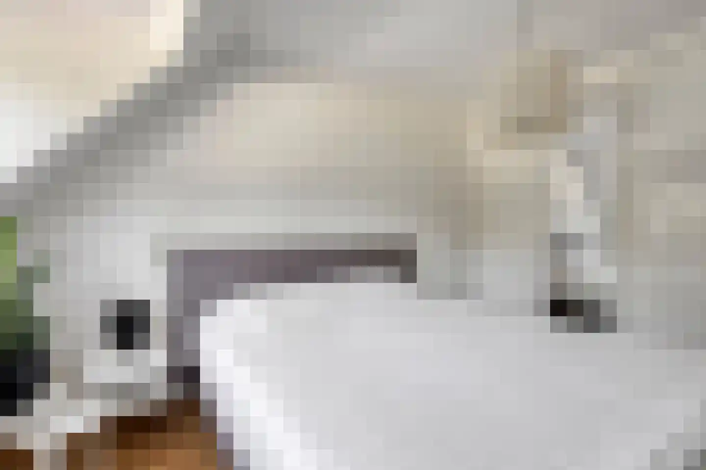 Joke Smitstraat 49 Bergen (NH) thumbnail 45