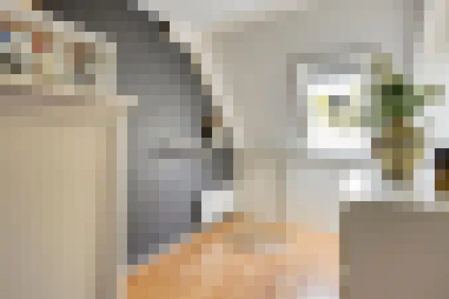 Joke Smitstraat 49 Bergen (NH) thumbnail 49