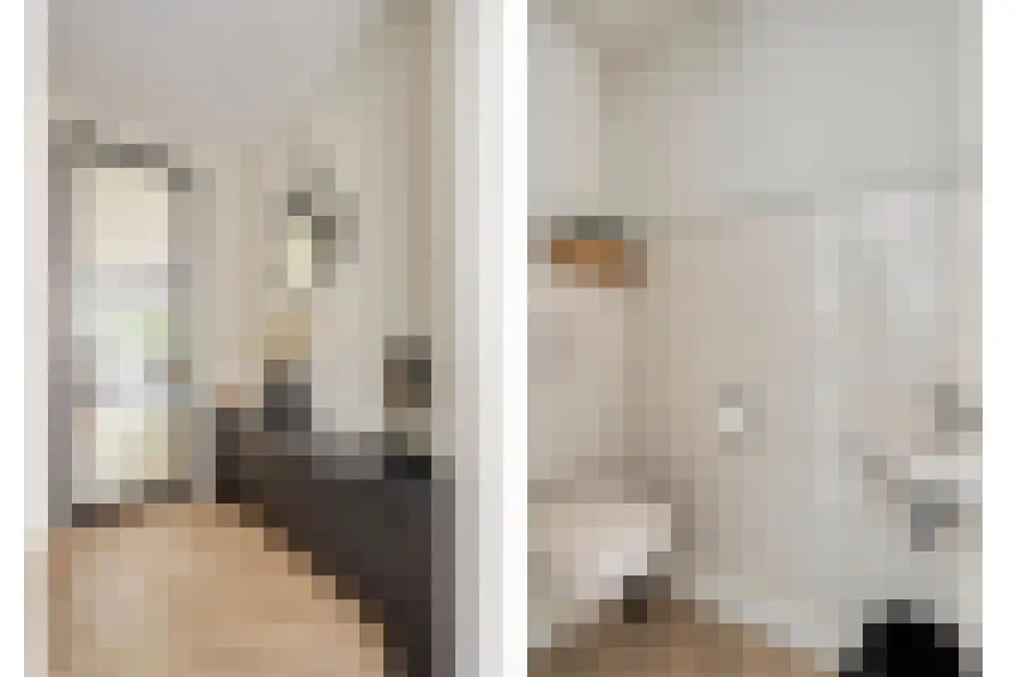 Joke Smitstraat 49 Bergen (NH) thumbnail 5