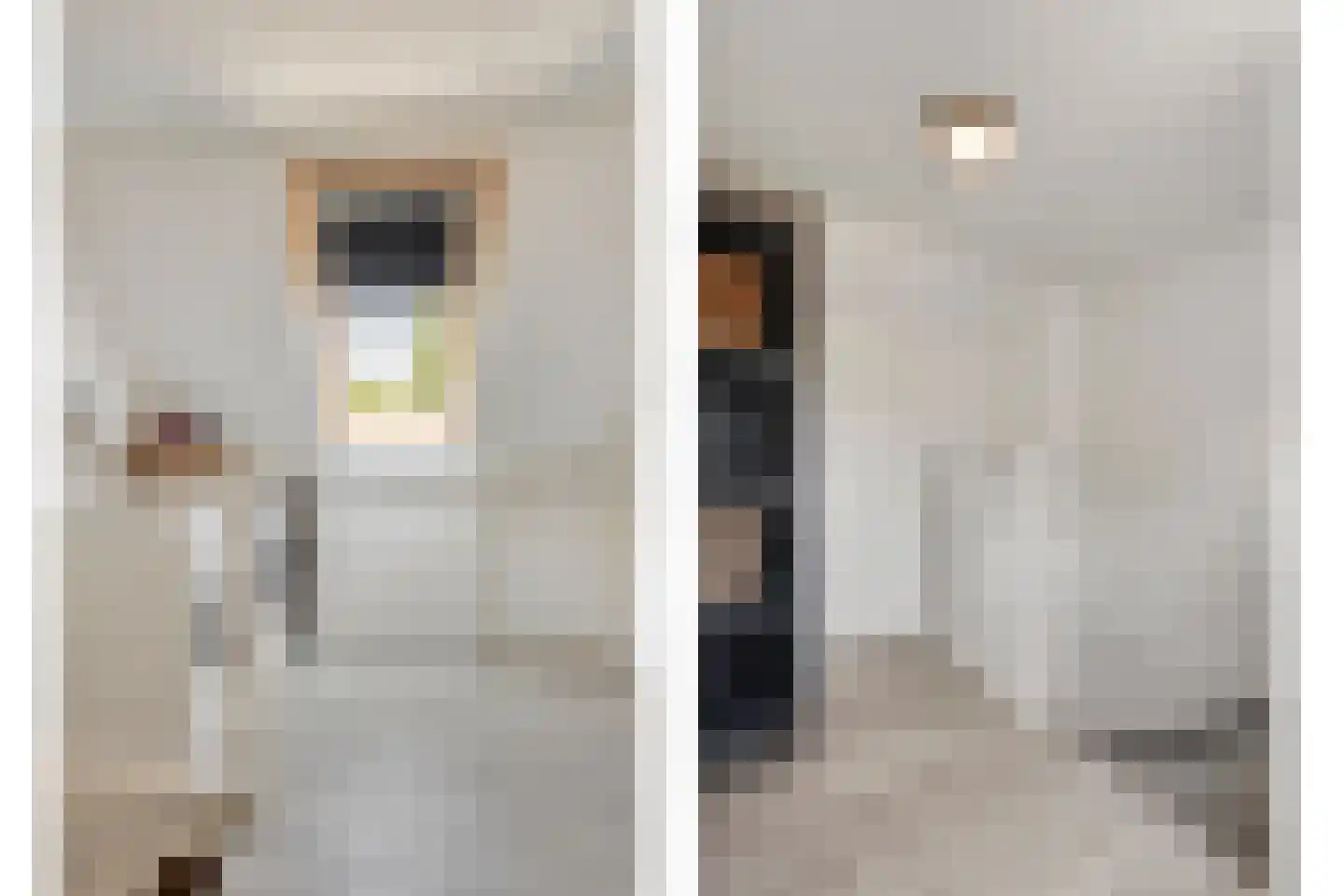 Joke Smitstraat 49 Bergen (NH) thumbnail 50