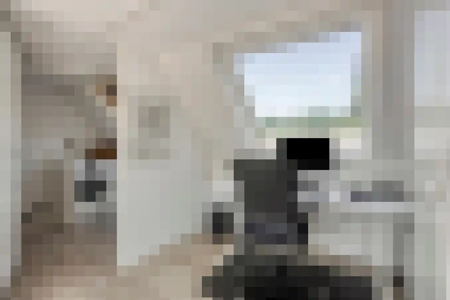 Joke Smitstraat 49 Bergen (NH) thumbnail 52