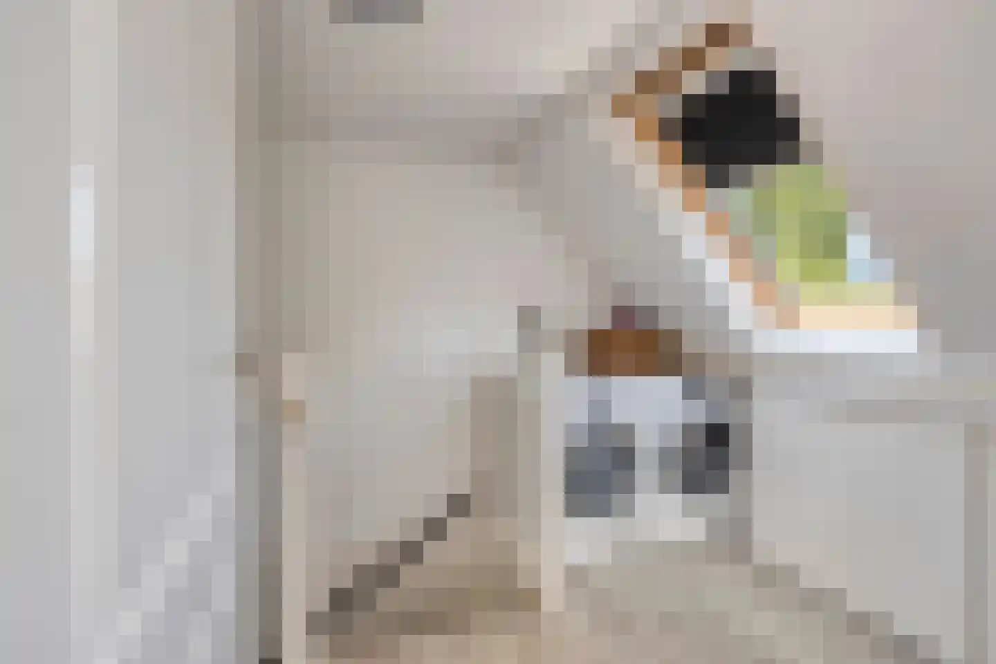 Joke Smitstraat 49 Bergen (NH) thumbnail 55