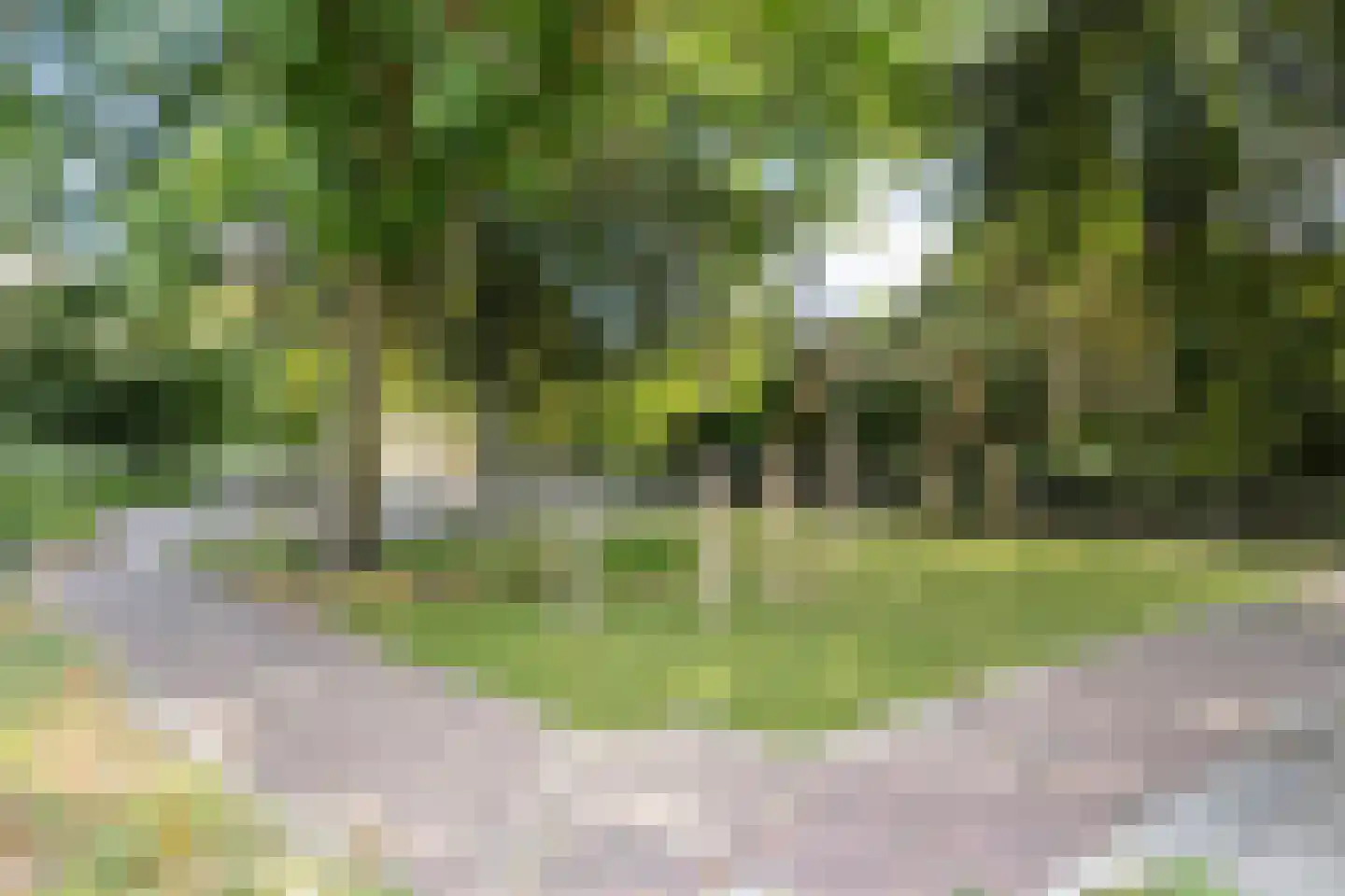 Joke Smitstraat 49 Bergen (NH) thumbnail 58