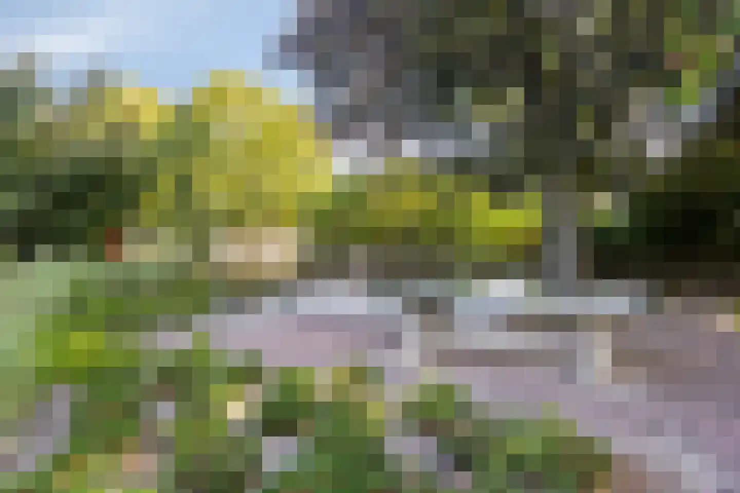 Joke Smitstraat 49 Bergen (NH) thumbnail 59