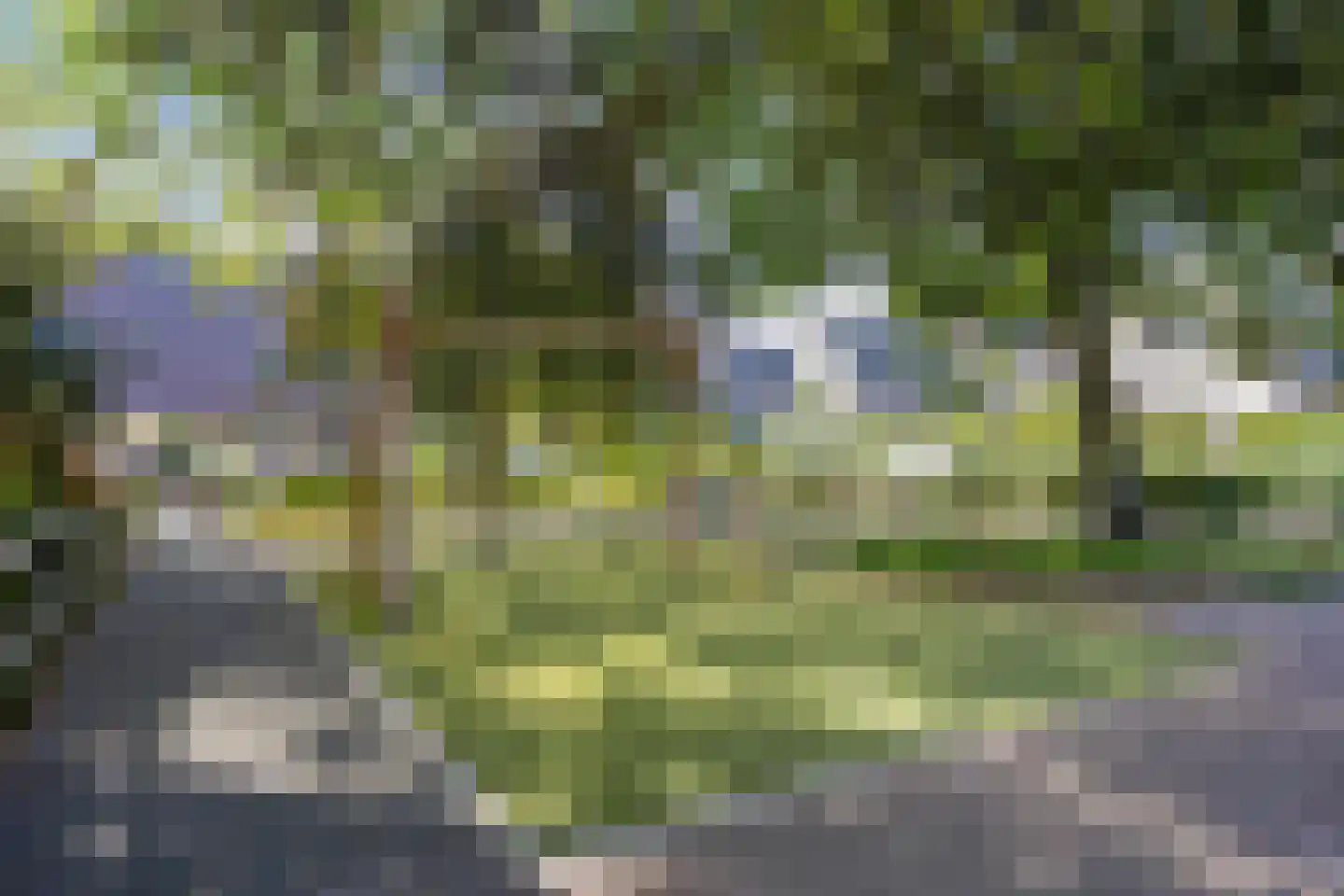 Joke Smitstraat 49 Bergen (NH) thumbnail 61
