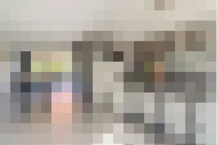 Joke Smitstraat 5 Rijen thumbnail 13